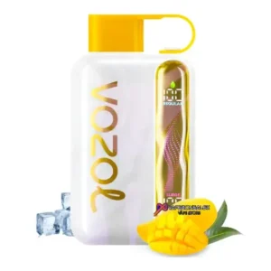 vozol-star-40k-mango-ice-vape-store-Egypt