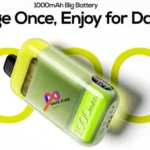 Vozol neon plug max disposables egypt